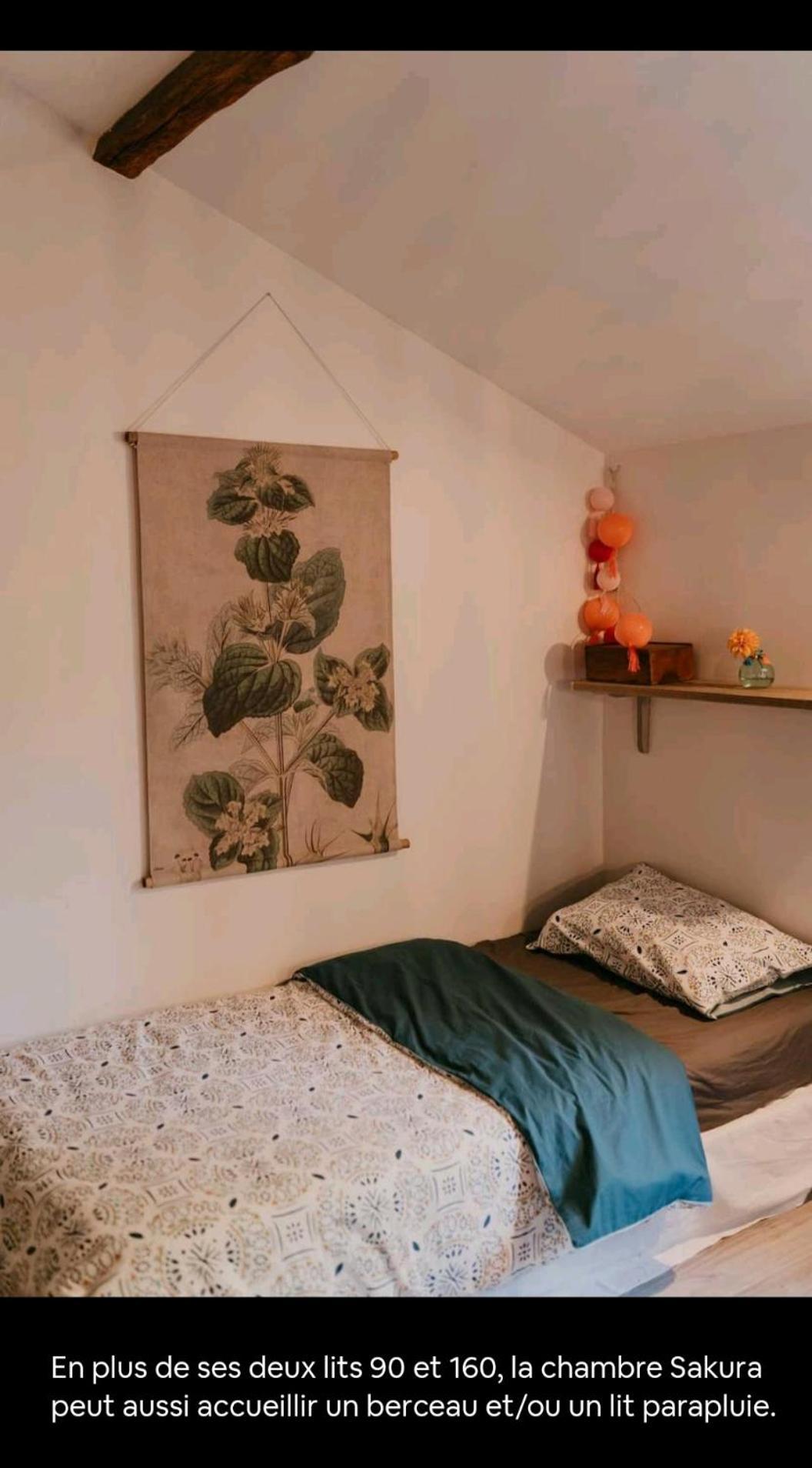 Cocon Cosy Et Deconnecte 30Min Puy Du Fou - 2 Chambres Et 1 Canape Lit Bazoges-en-Pareds Экстерьер фото